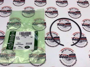 LR041268 Кольцо стопороное заднего подшипник ступицы Range Rover Evoque L538
