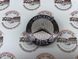 A2048170616, A 204 817 06 16 Значок на капот 63 AMG Mercedes M177 / S W223