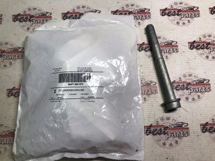 WHT004572, WHT 004 572 Болт переднего тормозного суппорта Porsche Cayenne 958 / Panamera 970 / Macan 95B