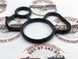 LR001425 Прокладка масляного радіатора Land Rover Freelander 2 L359