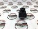 LR060915 Камера кругового огляду Range Rover Vogue L405 / Sport L494 / Evoque L538 / Velar L560 / Land Rover Discovery 5 L462 / Sport L550